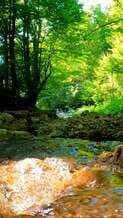 Video by I Am Sorin