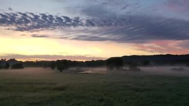 Video by Tom Fisk