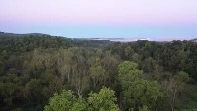 Video by Tom Fisk