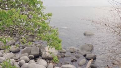 Video by NGUYỄN THÀNH NHƠN