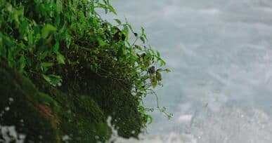 Video by Engin Akyurt