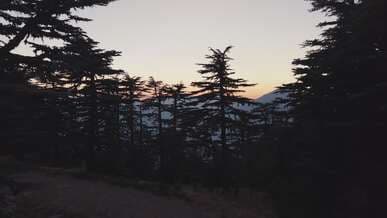 Video by Yunus Terk