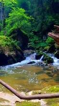 Video by I Am Sorin